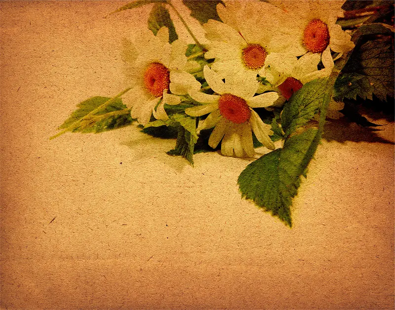 ���žջ�����-������