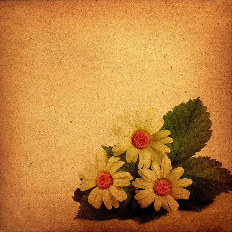 �ջ�����-������