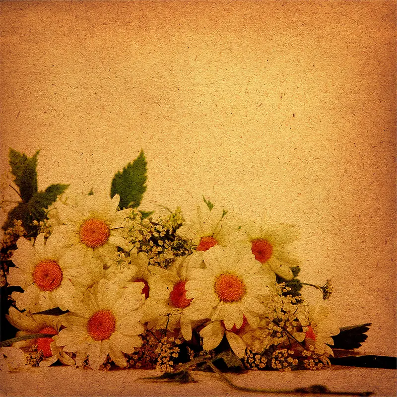 ���ձ���-������