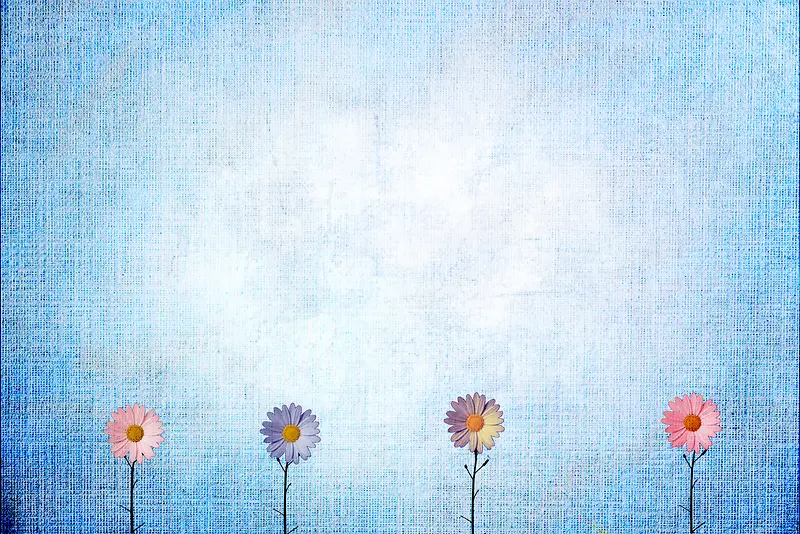 �����ջ������߿�-������