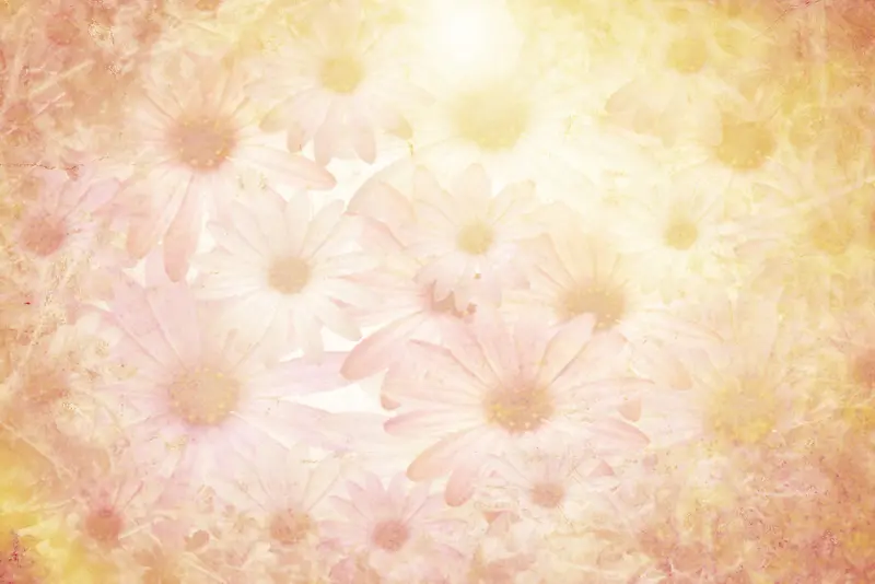 ���ɾջ����䱳��-������