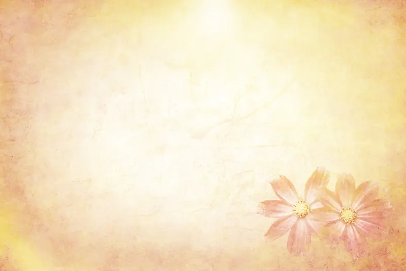 ���ɳ��ձ����߿�-������