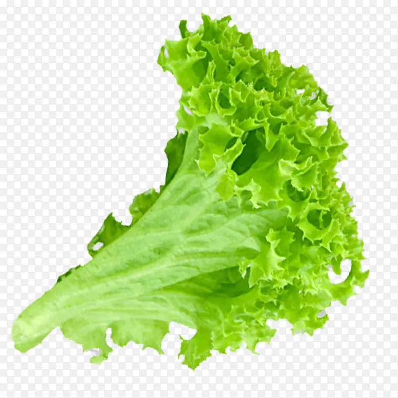 ʵ����ɫ��������-������