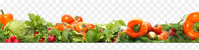 һ��ˮ���߲�-������