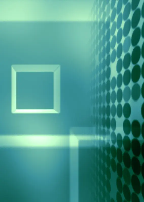 IT�����ز�047-������