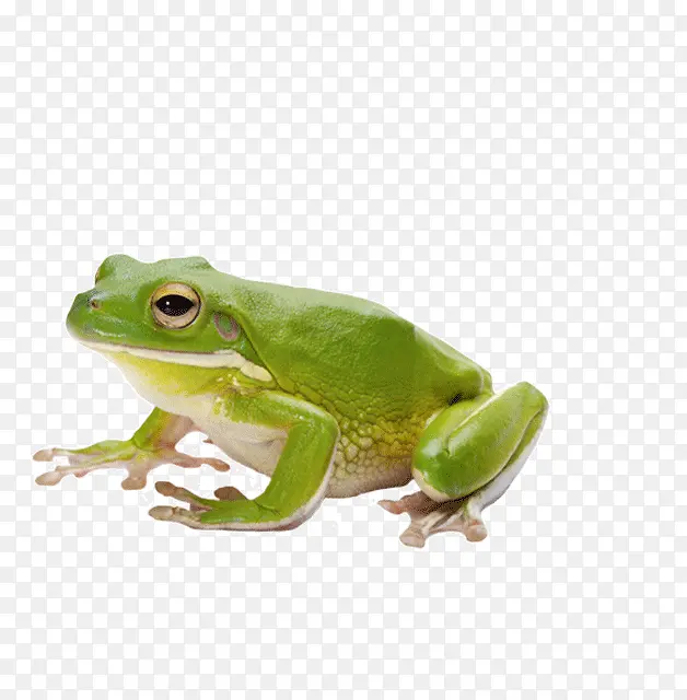 ʵ������-������