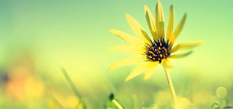 С���¾����Լʱ�б���-������