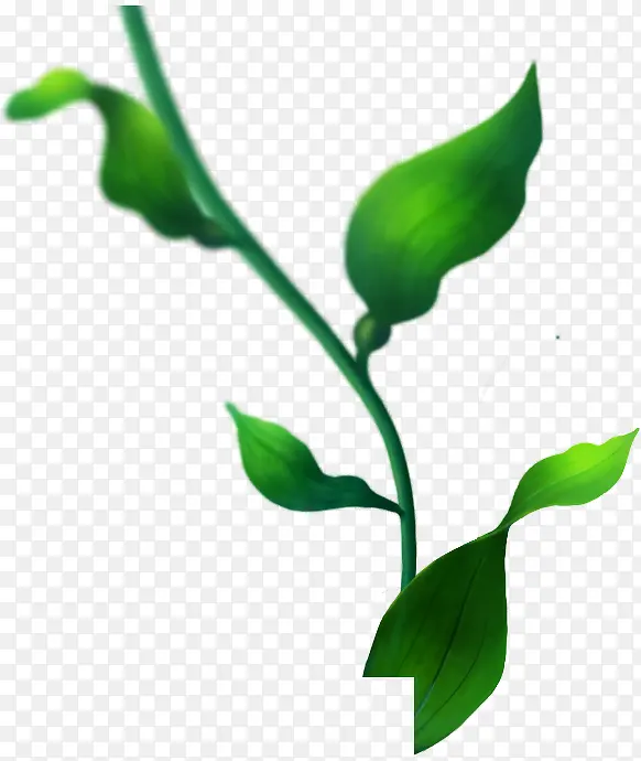 ��ɫ����-������