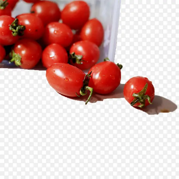 ��ϴˮ��-������