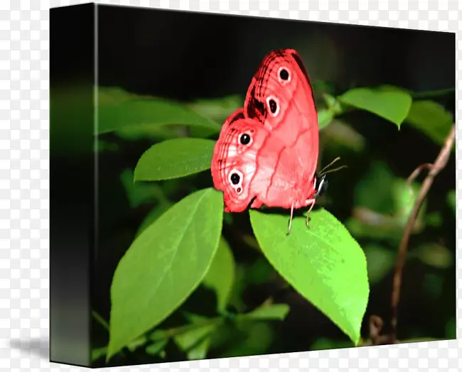 ���������桢�����ߡ�ҹ���-�����-������