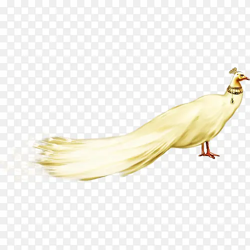 ��ɫ��ȸͼ-������