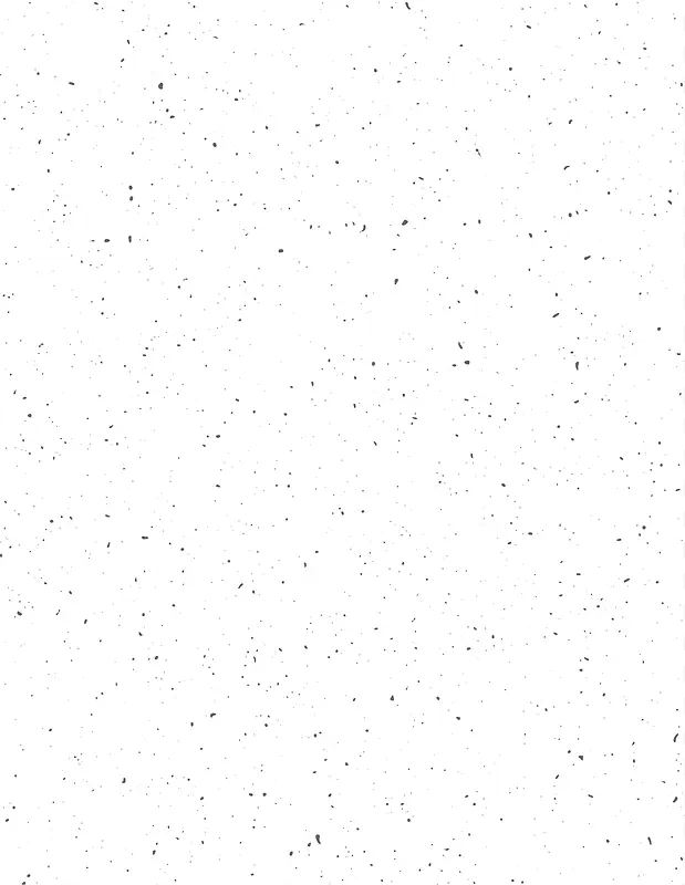 ��㱳��-������