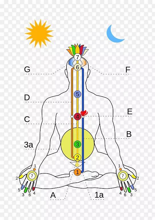 ���������������΢��������������-����-������