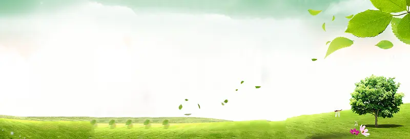 �����Ա���װ��������-������