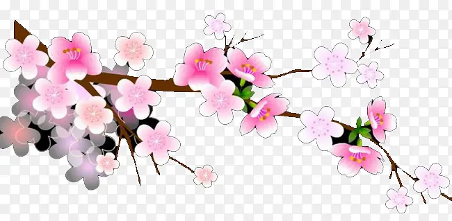 �۰�ɫ÷����֦�ز�-������