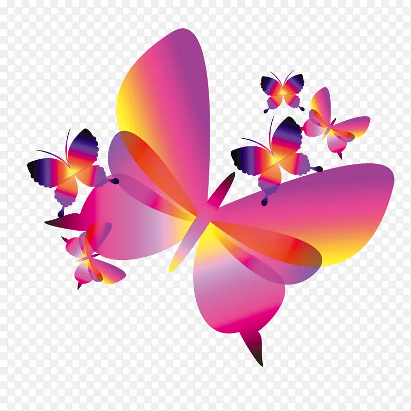 ��ɫ��������-������