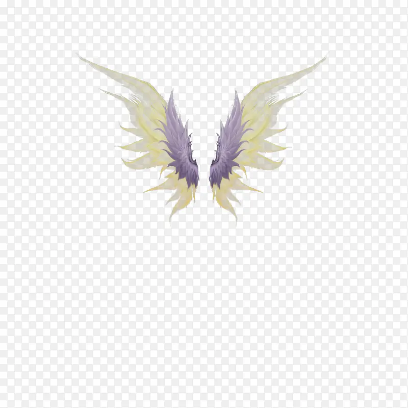 �ۺ�ɫ���-������