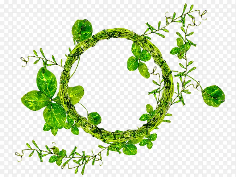 ������ɫ�ݻ�װ��-������