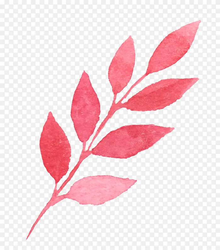 ˮ�ʻ�Ҷ��-������