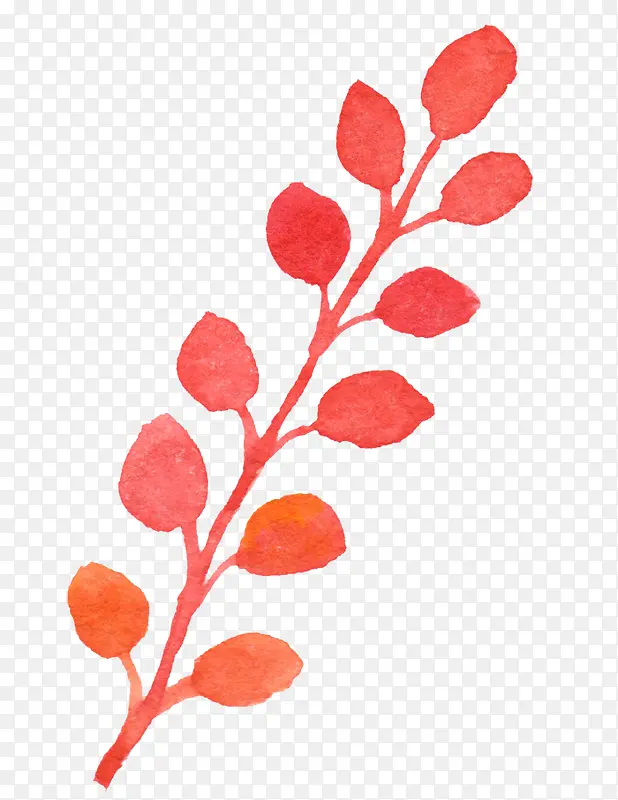 ˮ�ʻ�Ҷ��-������