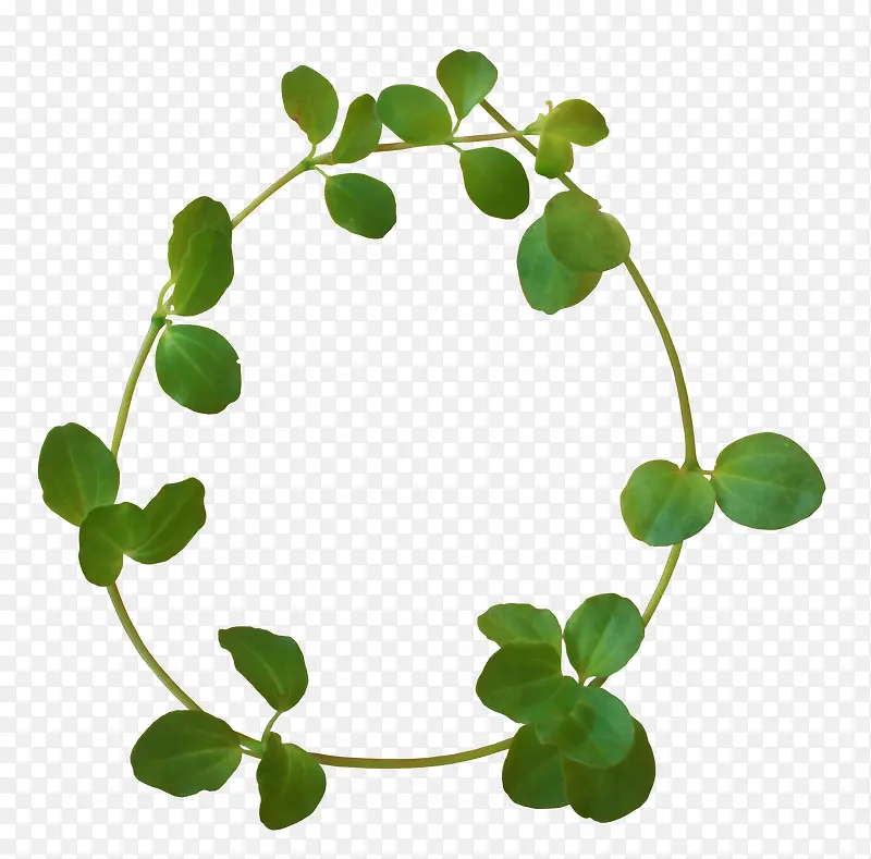 С���� Ψ�� �ֻ� ˮ�ʻ�  Ҷ��-������