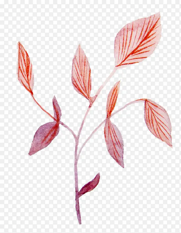 ˮ�ʻ�Ҷ��-������