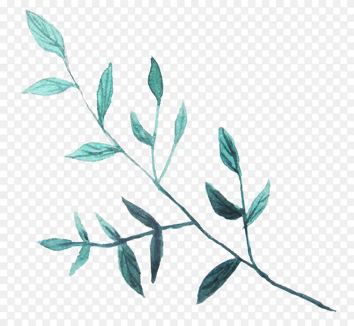 ˮ�ʻ�Ҷ��-������