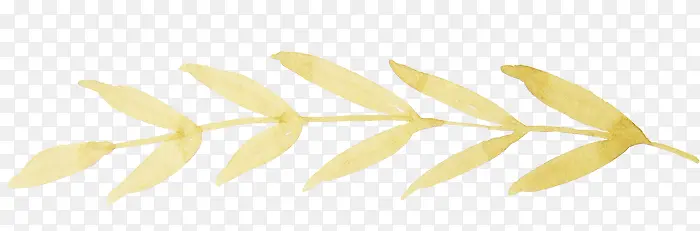 ˮ�ʻ�Ҷ��-������