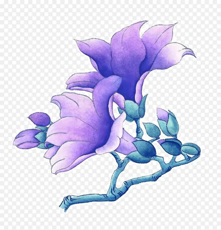 װ��ֲ���ֻ�-������