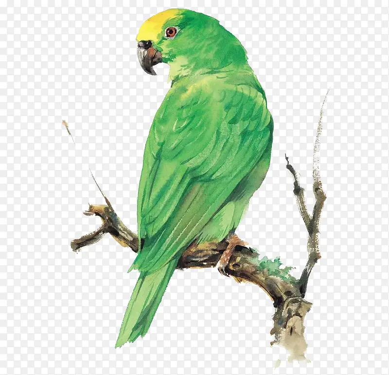 ����֦ͷ����ľ��-������