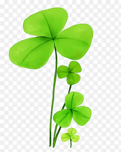 ������ɫ��Ҷ�����˲�-������