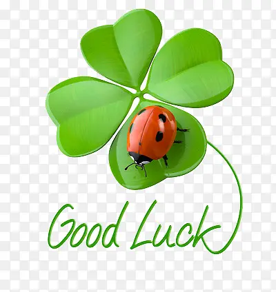 ������Ҷ��-������