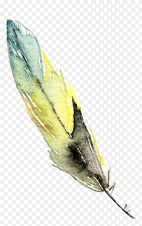 ��ɫ��ë-������