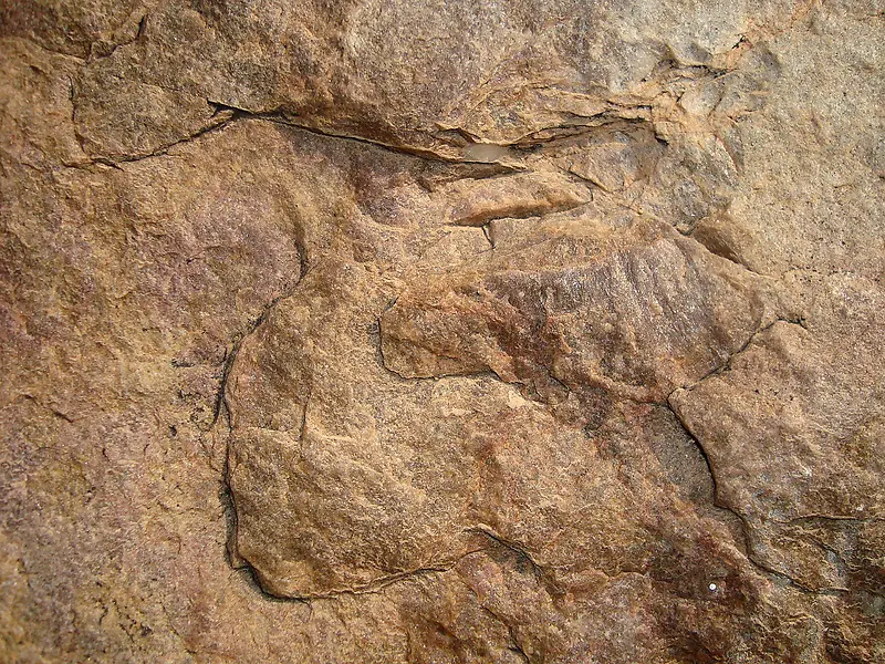 ��ʯ��������-������