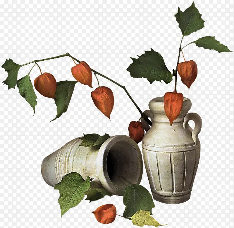 ��ƿ��֦�ز����-������