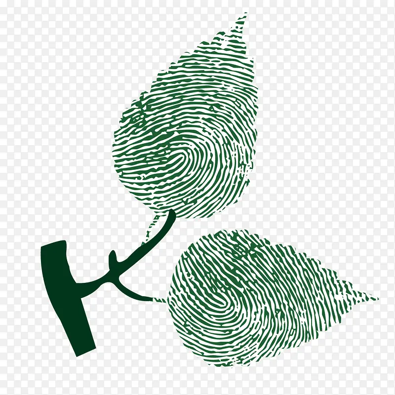 ָ����-������