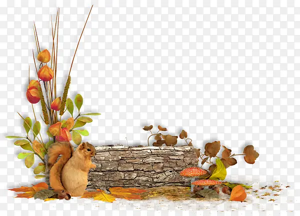 ��ͨ��ľС�����̲�-������