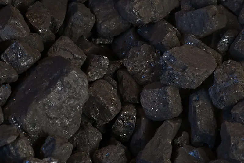 ʯ�ӱ�������-������