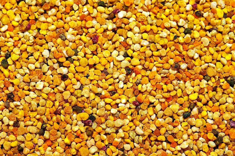 ʯͷ����-������