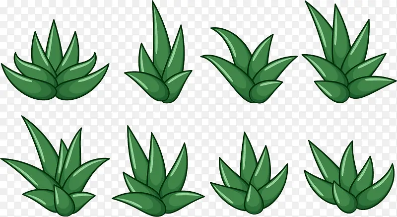 ���ֲ�-������