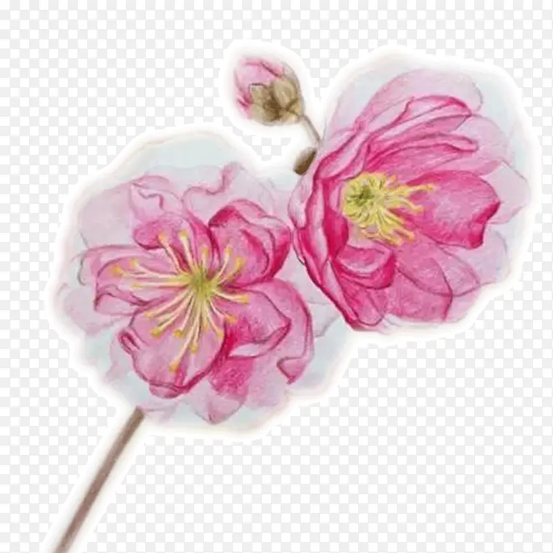 ˮ��ӣ��-������