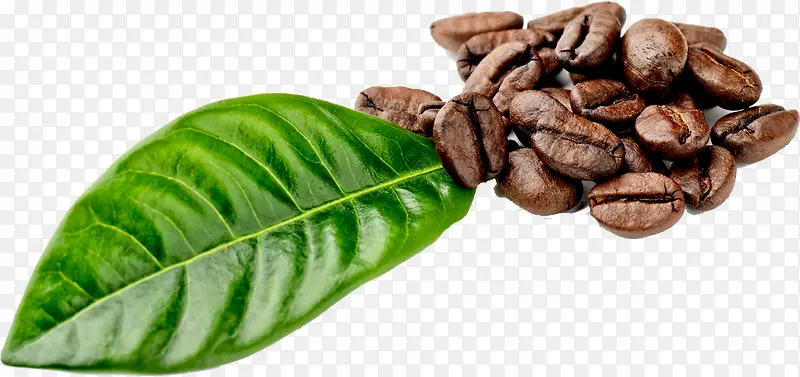 ���Ȳ͹ݿ�ҵ����-������