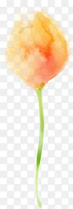 ˮ��õ�廨���ز�-������