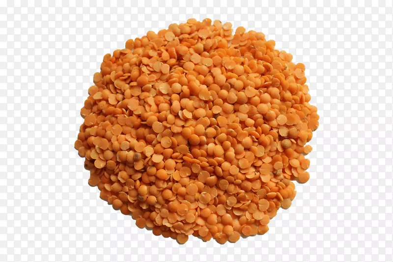 �ⶹ�л�ʳƷ������ʳ��ϵ��С�ⶹ-������