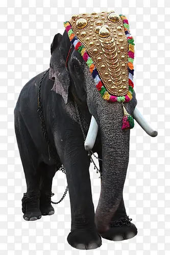 �ȴ�����-������