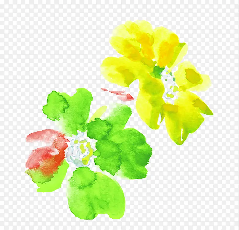 ˮ��ɽ�軨-������