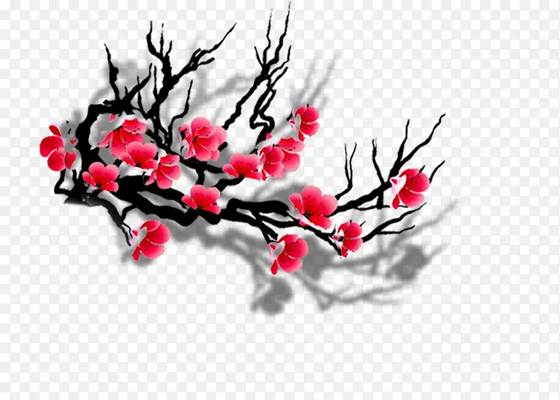 ÷����֦�ز�-������