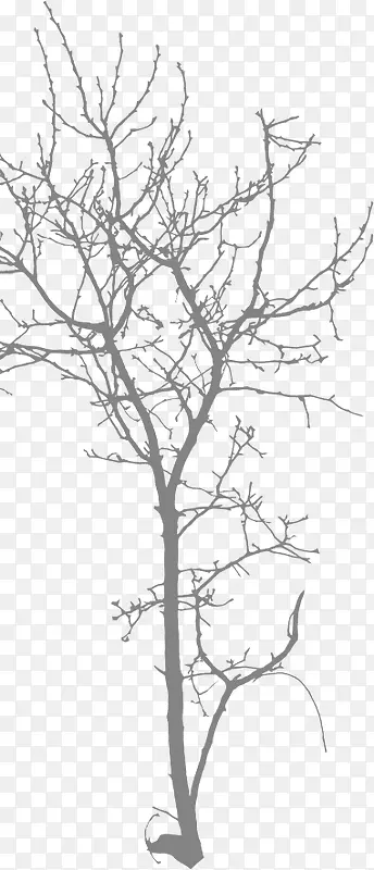 ��֦����߹���ŷ�����������-������