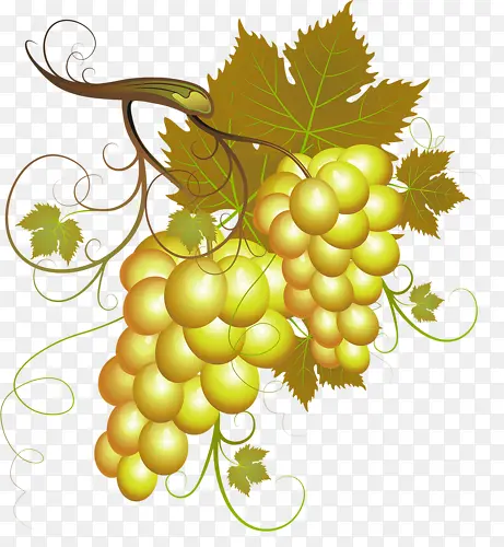 ����-������