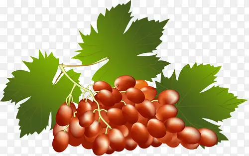 ����-������